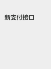 新支付接口-chenwen